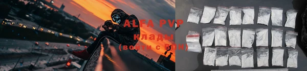 бошки Инта