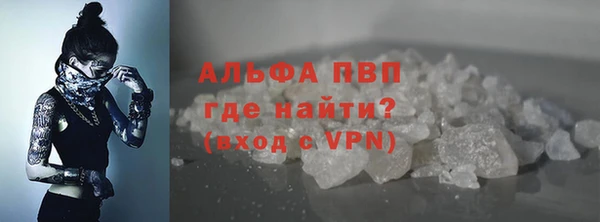 дживик Инсар