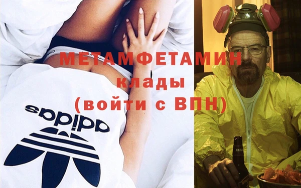 сатива Иннополис