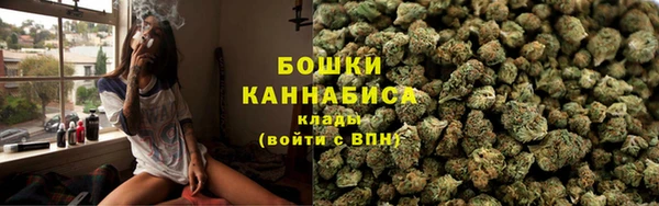 сатива Иннополис