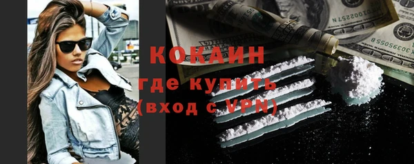 сатива Зеленокумск