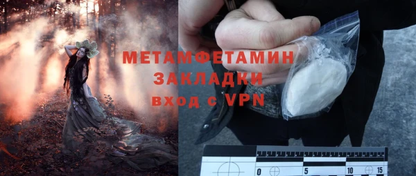 сатива Зеленокумск