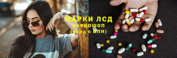 сатива Зеленокумск