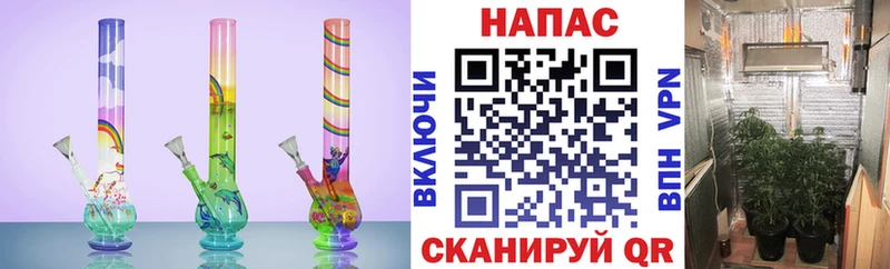 Марихуана White Widow  Купить закладки  Щёлкино 
